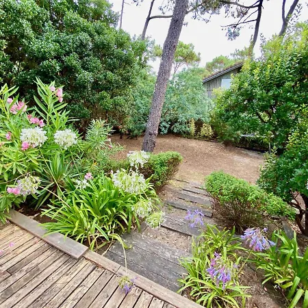 Welcoming House In Cap Ferret Close To The Beach, Garden, Terrace, Wifi And Tv Lège-Cap-Ferret